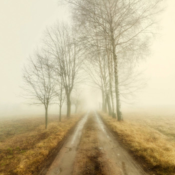 Die Straße im Nebel / ***