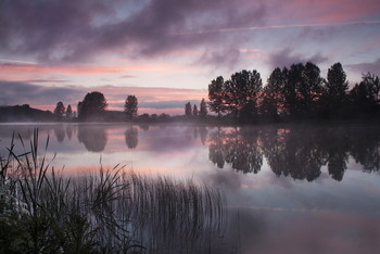 nach dem Sturm / ***