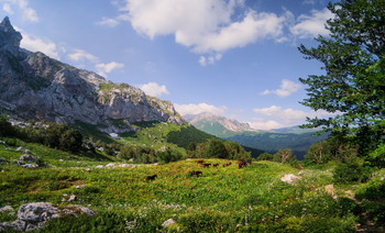 Der Berg-Tal / ***