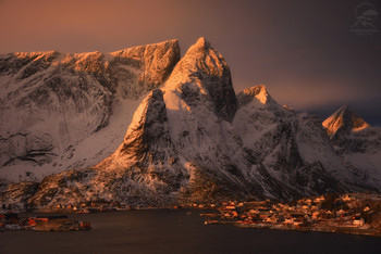 Reine / ***