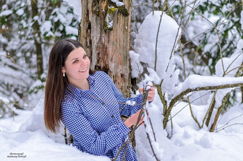 in den Winterwald / ***