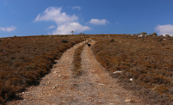Path-Weg / ***