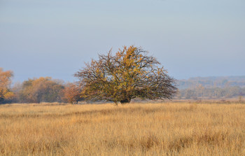 Herbst Morgendämmerung / ***