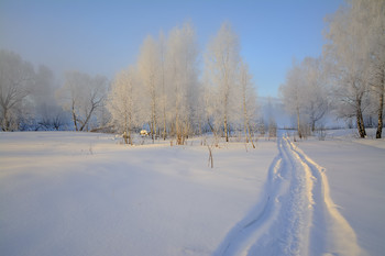 Straße im Winter. / ***