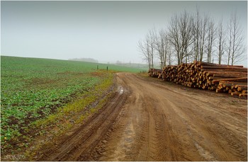 Herbststraße / ***