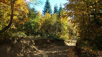 Straße zum Herbst / ***