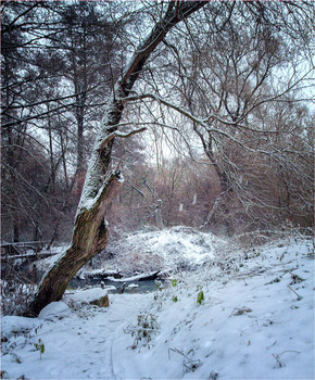Winterlandschaft / ***