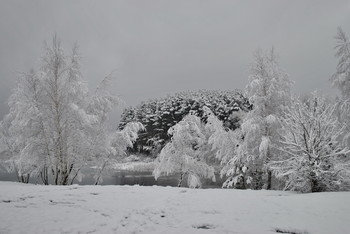 Winter / ***