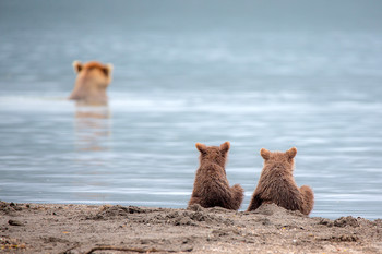 Waiting for Lunch / ***