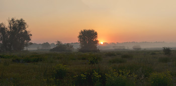 Sonnenaufgang / ***