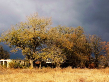 Vor dem Sturm / ***