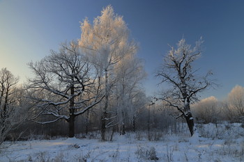 Frost und Sonne! / ***