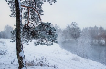am Ufer / ***