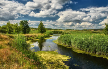 Sommerlandschaft / ***