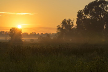 Morgendämmerung / ***