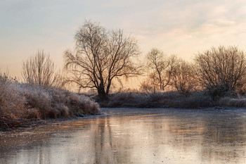 Am Morgen auf dem See / ***