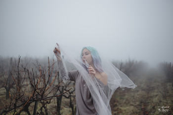 durch den Nebel / ***