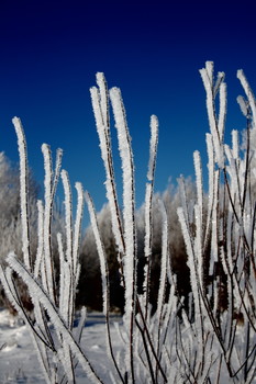 Winter-Skizzen / ***