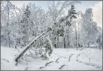 mit Schnee bedeckt ... / ***