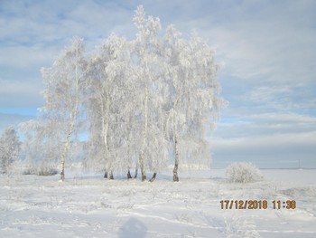 Winter-Skizzen / ***