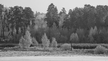 Schwarz und weiß Winter. / ***
