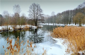 Winter river / ***