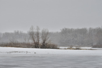 Schneesturm / ***