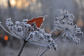 Herbst- Skizze. / ***