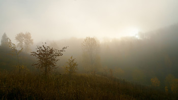 Morgendämmerung / ***