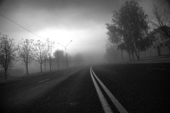 Morgen / ***
