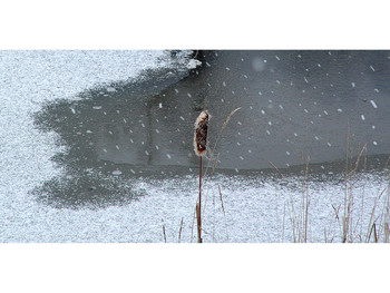 Der erste Schnee / ***