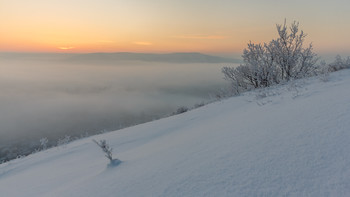 Winternebel / ***