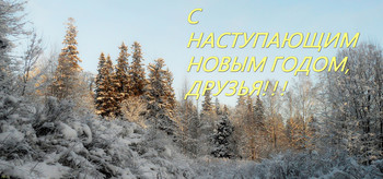 Happy New Year! / ***