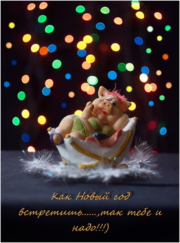 Happy New Year! / ***