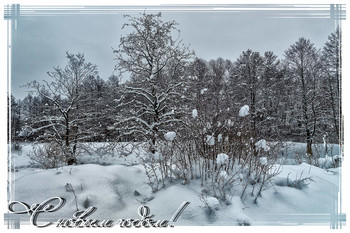 Frohes Neues Jahr! / ***