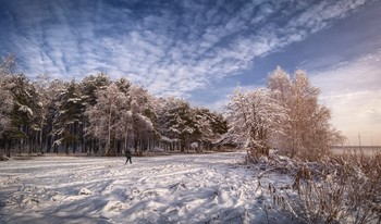 Winter Beach / ***