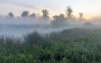 Lake Mist / ***