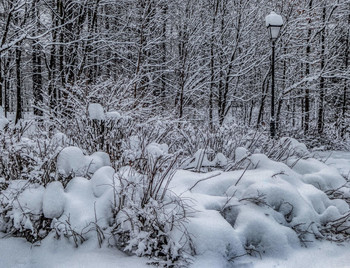 Mit Schnee bedeckt. / ***