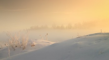 Winter Gras / ***