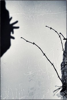  / 2011