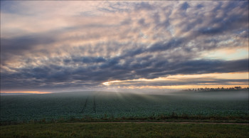 Morgen / ***