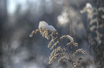 Winter-Skizzen / ***