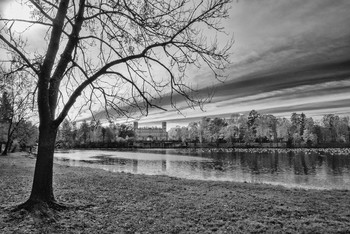 Gatchina Park / ***