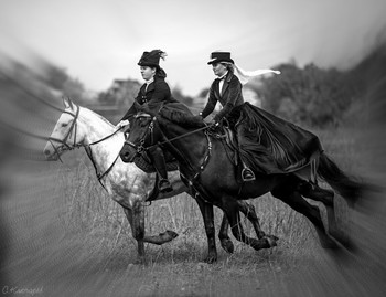 Auf der Jagd ... / ***