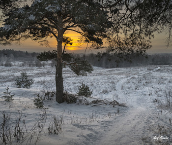 Sonnenuntergang im Winter / ***