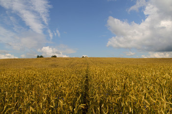 Weißrussland / ***