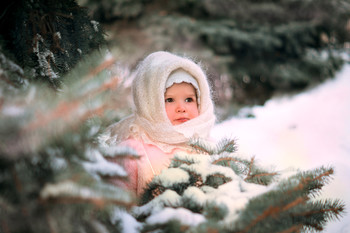 Im Wald / ***