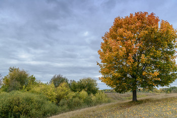 Über Herbst ... / ***