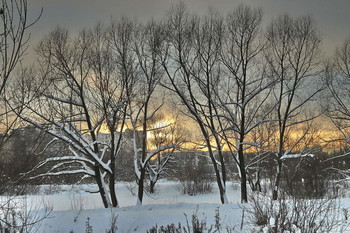 Winter in the City / ***