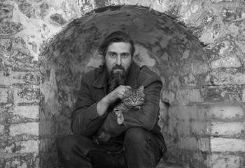 Portrait einer Katze / ***